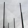 Torn Net Around Golf Course