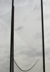 Torn Net Around Golf Course II