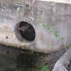 Drain, Aventura, Florida